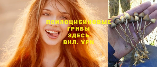 a pvp Заводоуковск