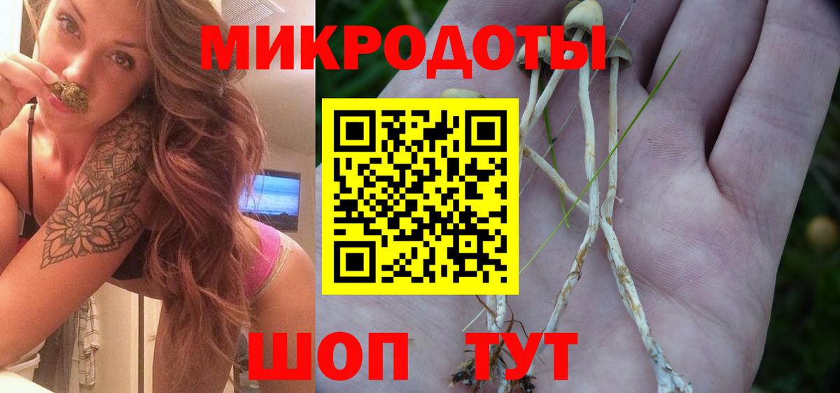 Кулебаки  Псилоцибиновые грибы MAGIC MUSHROOMS  Вход с VPN 