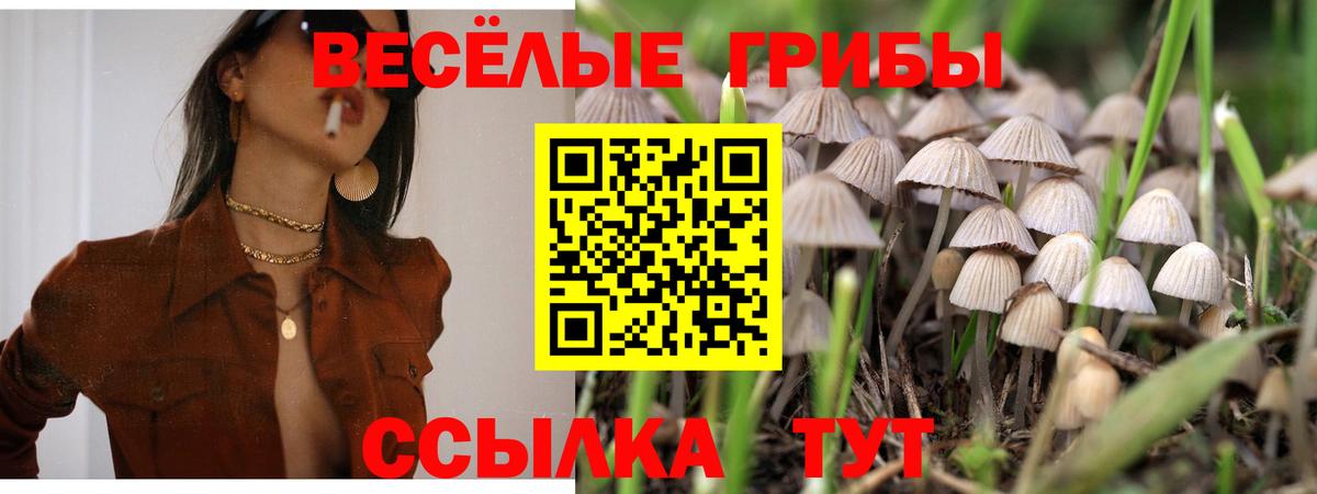 Галлюциногенные грибы GOLDEN TEACHER Кулебаки
